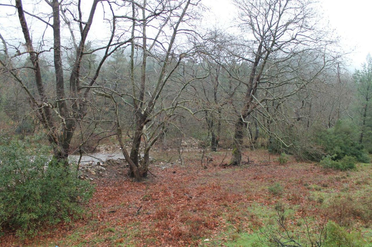 Pili Country House מראה חיצוני תמונה