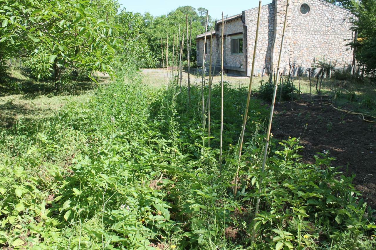 Pili Country House מראה חיצוני תמונה