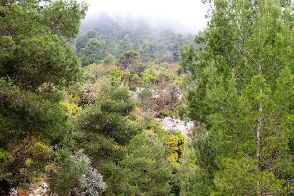 Pili Country House מראה חיצוני תמונה